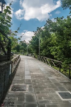 Tree-lined Pedestrian Walkway with fence