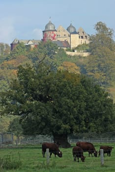 The Sababurg in autumn