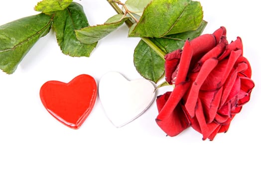 white and red hearts and rose for Valentine's day