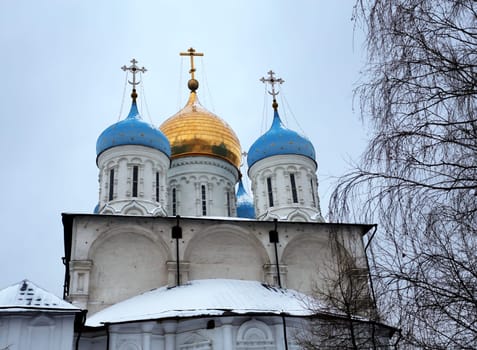 Savior Transfiguration Cathedral in Novospassky Monastery in Moscow