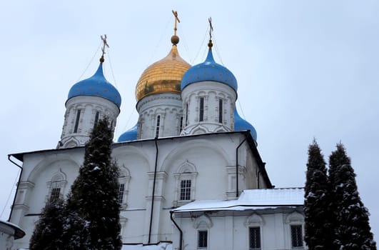 Savior Transfiguration Cathedral in Novospassky Monastery in Moscow