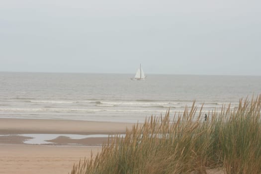 An dune,overgrown with beach grass, the ocean in the background