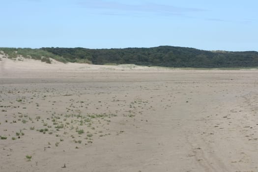 Waves with white crests inundate the sandy beach