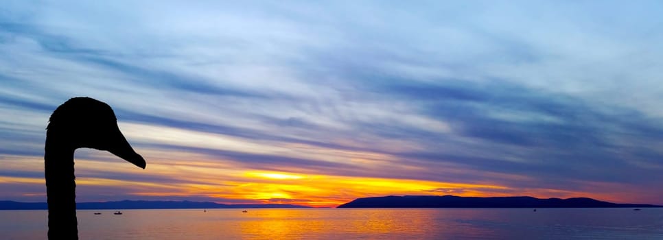 Silhouette of a swan with sunset over Adriatic Sea in Makarska, Croatia
