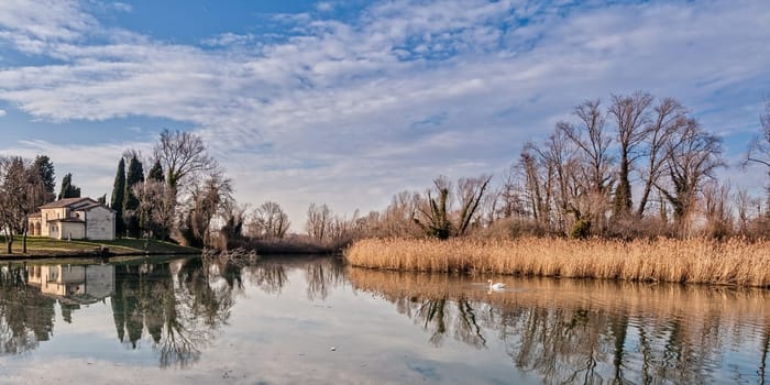 Rural landscape. Lake with trees reeds, rural church and reflection. Swan swimming on water.