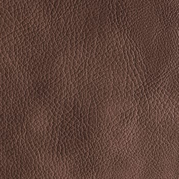 Brown leather texture. May used as background. Top view. Flat lay.