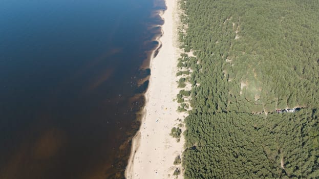Gauja river Latvia drain into Baltic Sea aerial drone top view