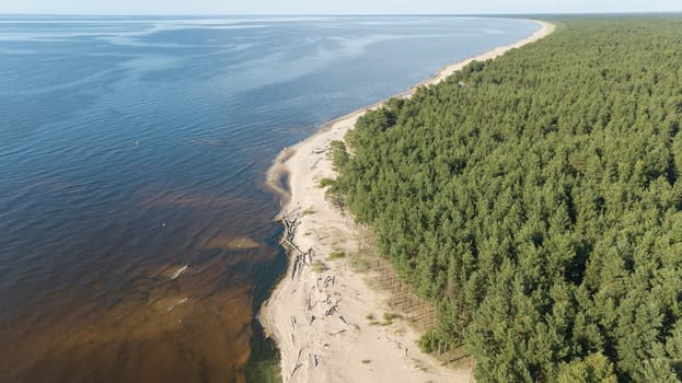 Gauja river Latvia drain into Baltic Sea aerial drone top view