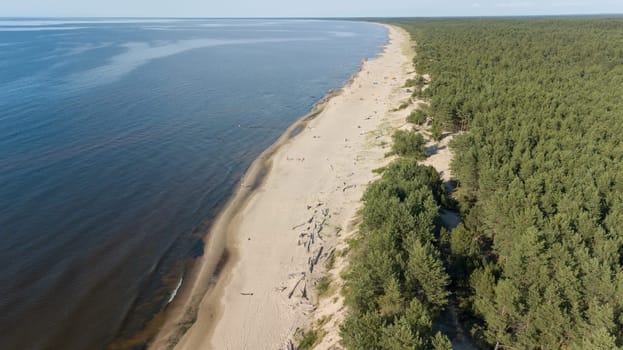 Gauja river Latvia drain into Baltic Sea aerial drone top view