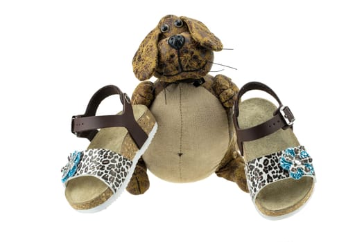 Girls sandals are decorated of  flower and studded with rhinestones. Shoes are  presented by funny dog. concept kids fashion. Isolated on white.