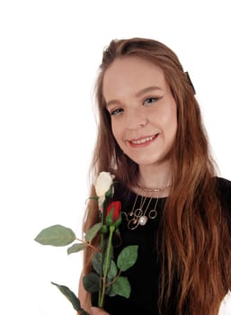 A lovely young woman in a portrait image and long brunette hair and.black dress, holding a red rose, isolated for white background.