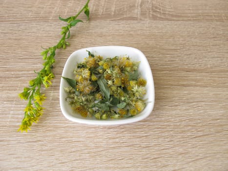 Dried real goldenrod in a bowl,Solidago virgaurea