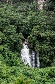 serra do mar Parana state Brazil jungle waterfall outdoors