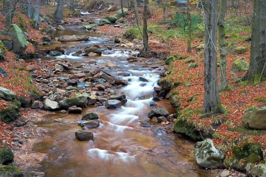 the river Ilse near Ilsenburg at the foot of the Brocken in the Harz National Park