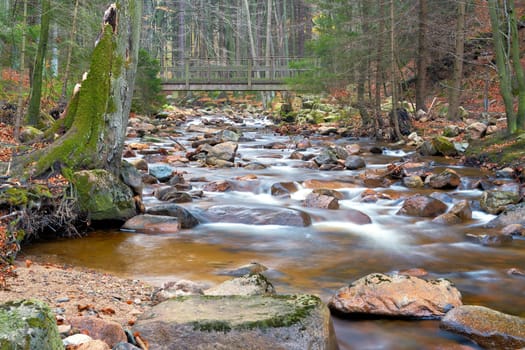 the river Ilse near Ilsenburg at the foot of the Brocken in the Harz National Park