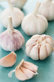 Tubers of fresh garlic on a blue background