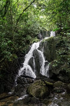 atlantic forest water fall rock mountain stones