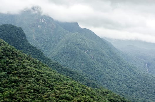 atlantica rainforest jungle mountain mist cloudy outdoors