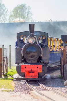 Departure of a steam locomotive in a cloud of smoke and steam in an animal park in North West Belgium