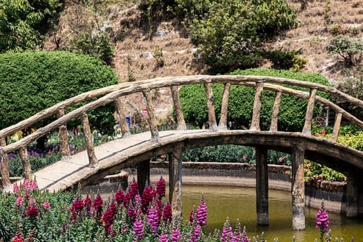 pond wooden bridge snapdragon flowers nature sunny
