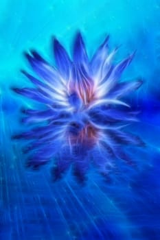 Beautiful Lotus Flower Abstraction