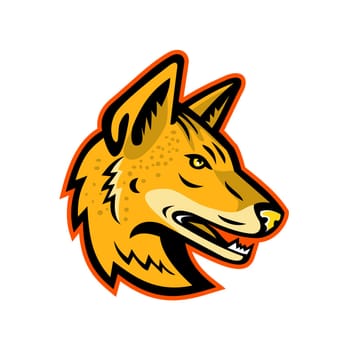 Mascot icon illustration of head of an Arabian wolf or Canis lupus arabs, a subspecies of gray wolf viewed from side on isolated background in retro style.