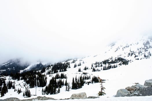 snow mountain mist trees hill cable car white