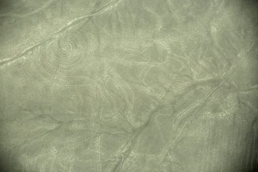 Nazca Lines - Monkey - Aerial View from a Plane