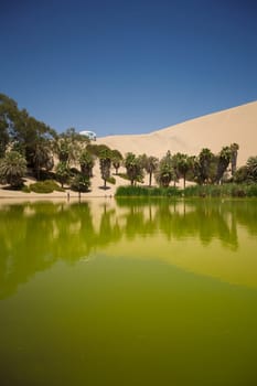 Oasis surrounded by sand dunes near Ica Peru
