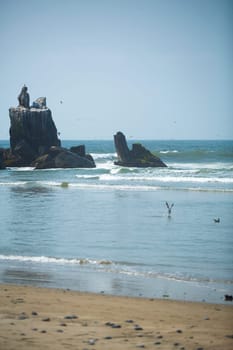 rocky coast along the ocean. Peru