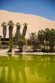 Oasis surrounded by sand dunes near Ica Peru