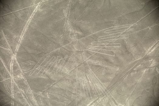 Unesco Heritage: Lines and Geoglyphs of Nazca, Peru - Condor