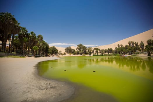 Oasis surrounded by sand dunes near Ica Peru