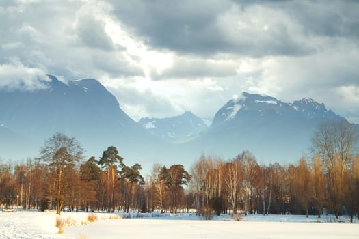 winter landscape forest mountains in the background