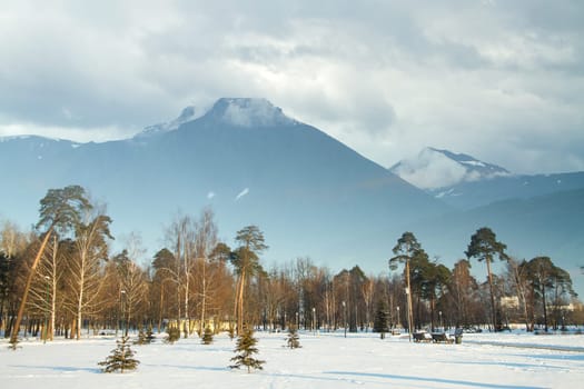 winter landscape forest mountains in the background