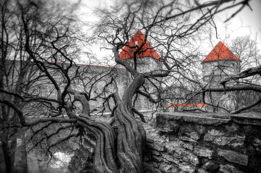 picturesque and very beautiful HDR photos of Tallinn