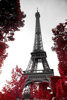 View of Eiffel tower in monochrome style with selective colorization