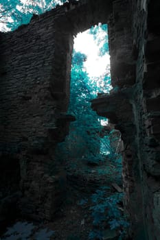 ruins of an old house in the woods more often