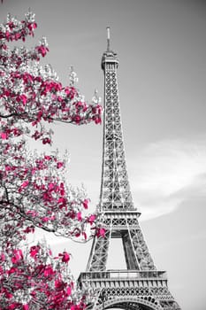 View of Eiffel tower in monochrome style with selective colorization