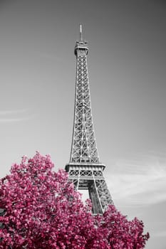 View of Eiffel tower in monochrome style with selective colorization