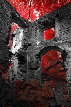 ruins of an old house in the woods more often