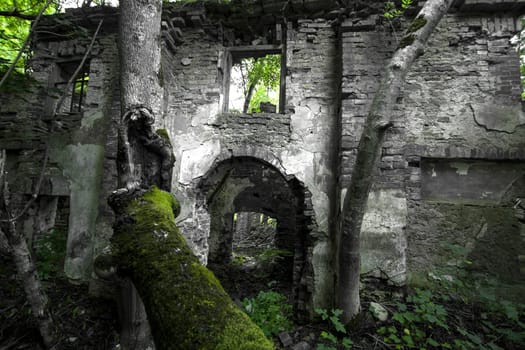 ruins of an old house in the woods more often