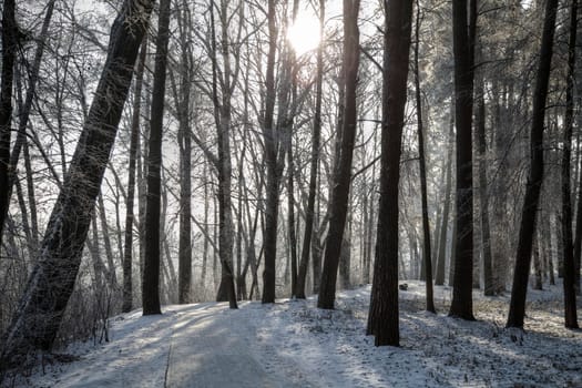 Falls in the winter. Picturesque scenery of winter.
