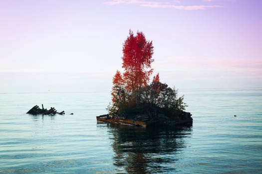Island on Lake Baikal in the autumn. Gradient of two colors Serenity and Rose Quartz.