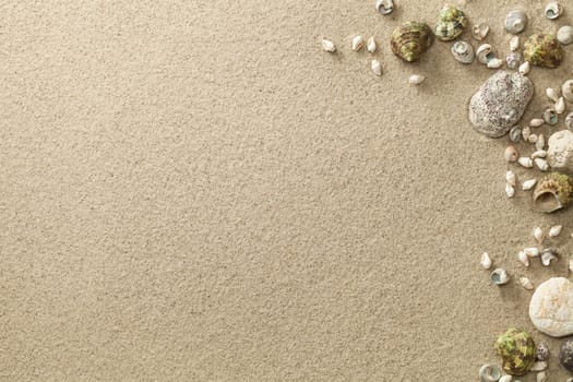 sand,beach background with shells and stones. copy space. top view