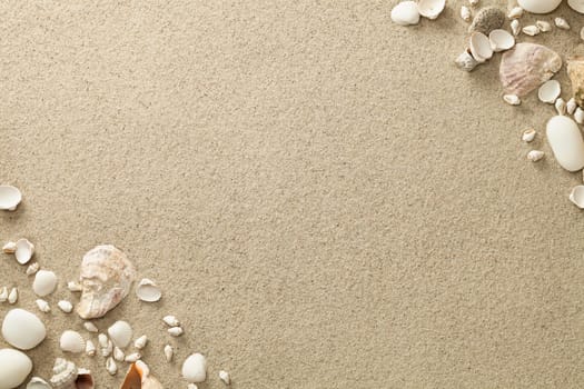 sandy beach background with shells and stones. copy space. top view