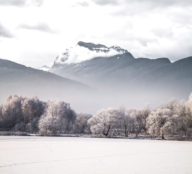 winter landscape forest mountains in the background