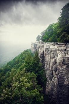 beautiful view of the forest in Saxon Switzerland with a view of the old fortress koenigstein