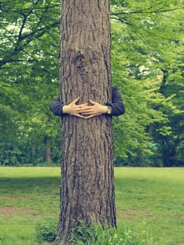 Young man hugs a big tree, environmental or friendship concept