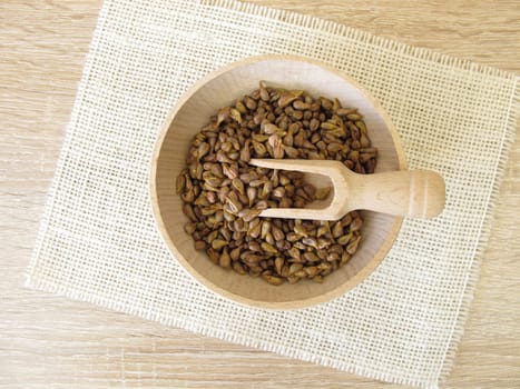 Grape seeds in a wooden bowl,Vitis viniferae semen
